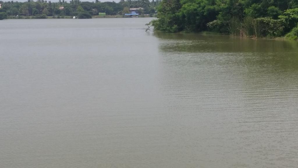 Sunhill Lake Tourist Rest Anuradhapura Exteriör bild