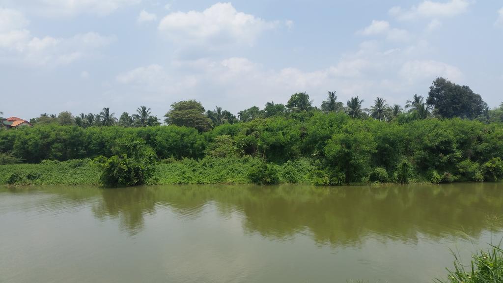 Sunhill Lake Tourist Rest Anuradhapura Exteriör bild