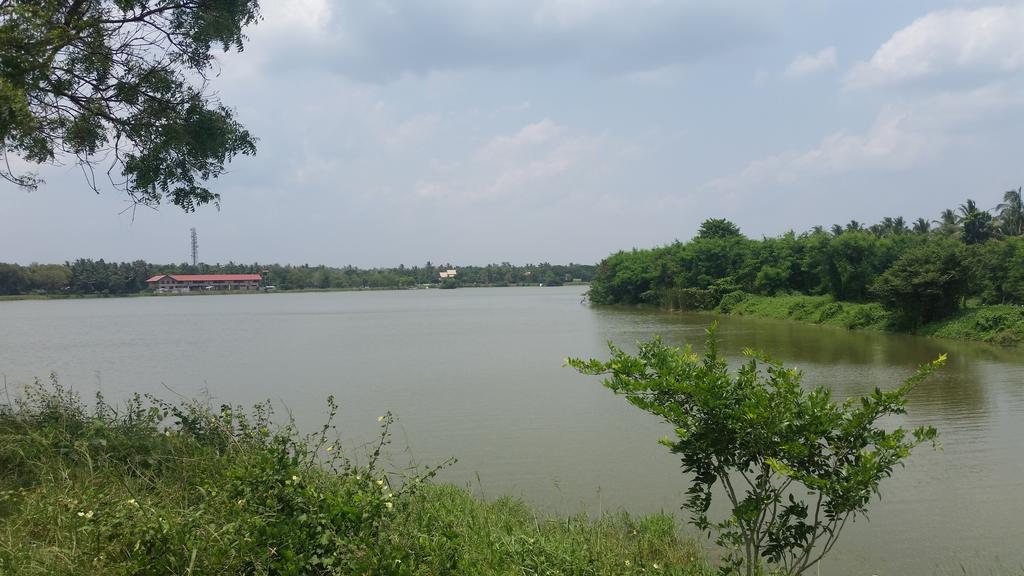 Sunhill Lake Tourist Rest Anuradhapura Exteriör bild
